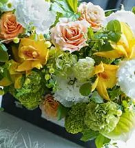 Floralskill