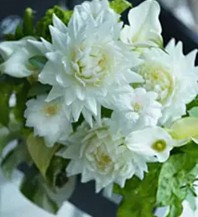 Floralskill