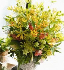 Floralskill