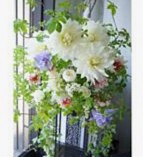 Floralskill
