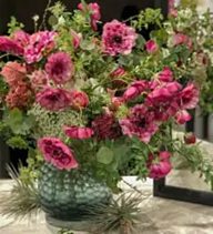 Floralskill