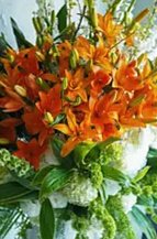 Floralskill