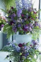 Floralskill