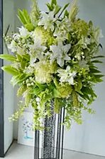Floralskill