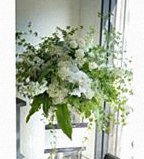 Floralskill