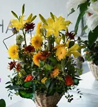 Floralskill
