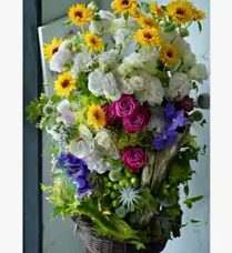 Floralskill