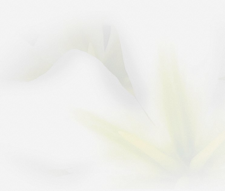 Floralskill