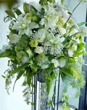 Floralskill