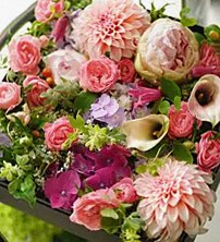 Floralskill