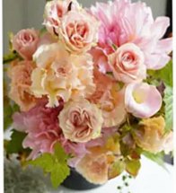 Floralskill