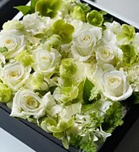 Floralskill