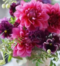 Floralskill
