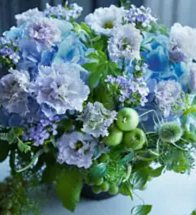 Floralskill