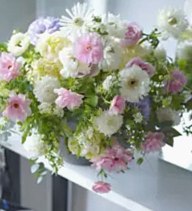 Floralskill