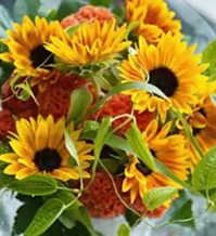Floralskill