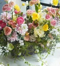 Floralskill