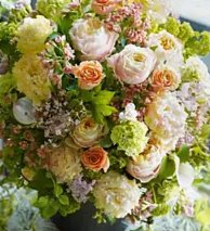 Floralskill