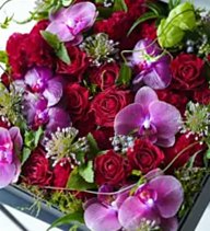 Floralskill