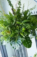 Floralskill