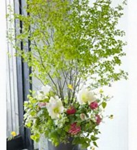 Floralskill
