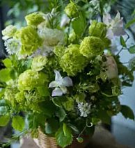 Floralskill